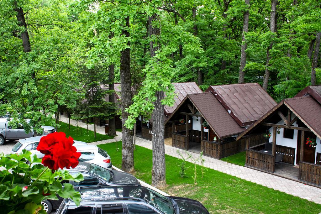 Cornul Vanatorului Bungalows Pitesti Luaran gambar