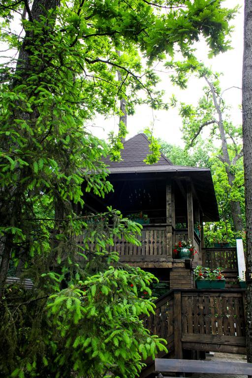 Cornul Vanatorului Bungalows Pitesti Luaran gambar