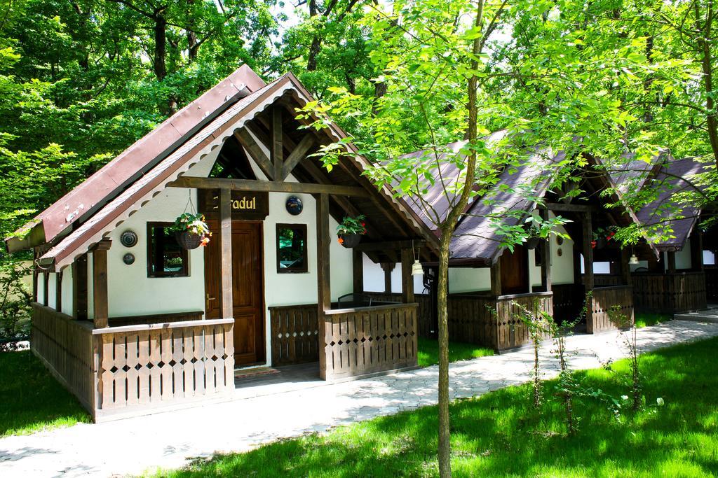 Cornul Vanatorului Bungalows Pitesti Luaran gambar