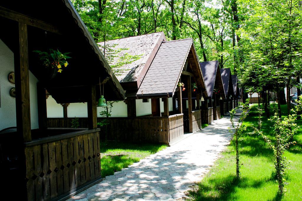 Cornul Vanatorului Bungalows Pitesti Luaran gambar
