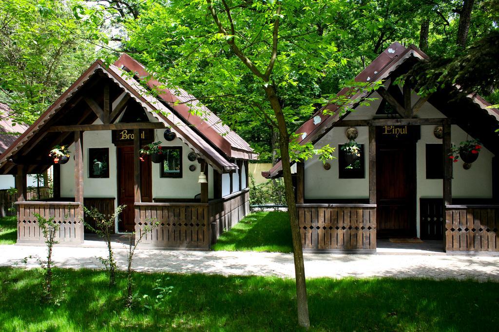 Cornul Vanatorului Bungalows Pitesti Luaran gambar