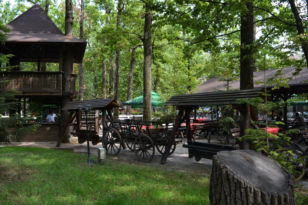 Cornul Vanatorului Bungalows Pitesti Luaran gambar