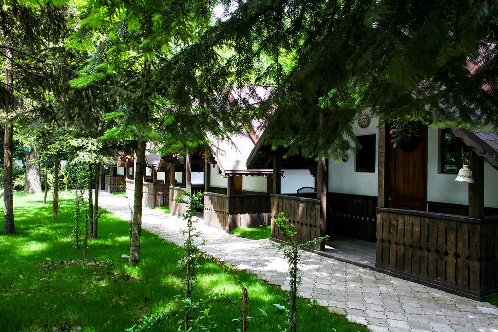 Cornul Vanatorului Bungalows Pitesti Luaran gambar
